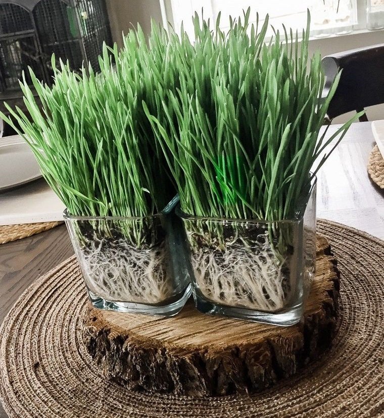 25 Decor Ideas With Wheatgrass for a Beautiful Fresh Decoration to Try in Spring